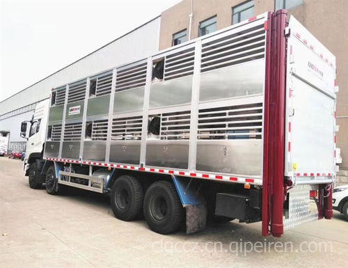 專業(yè)禽畜轉(zhuǎn)運(yùn)車全方位解析 從廠家選擇到配件服務(wù)的完整指南